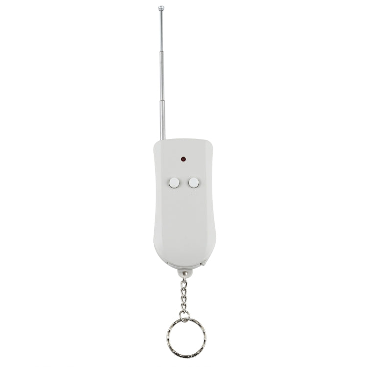 110V Indoor Wireless Smart Remote Control Switch with Single Keychain Transmitter, CN Plug - Smart Switch by PMC Jewellery | Online Shopping South Africa | PMC Jewellery | Buy Now Pay Later Mobicred