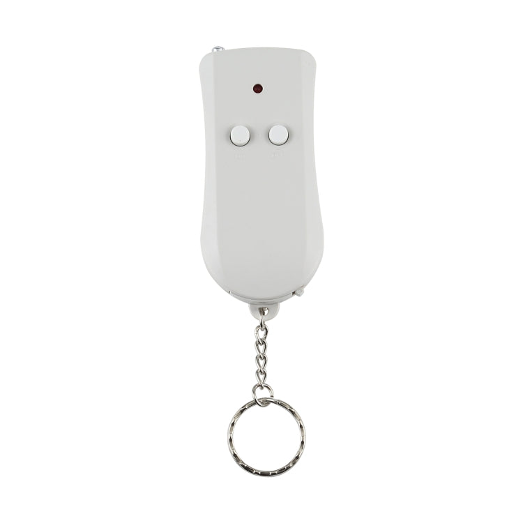 110V Indoor Wireless Smart Remote Control Switch with Single Keychain Transmitter, CN Plug - Smart Switch by PMC Jewellery | Online Shopping South Africa | PMC Jewellery | Buy Now Pay Later Mobicred