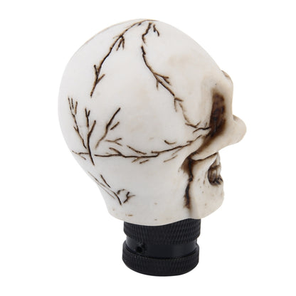 Universal Skull Head Shape ABS Manual or Automatic Gear Shift Knob  with Three Rubber Covers Fit for All Car(White) - Shift Knob by PMC Jewellery | Online Shopping South Africa | PMC Jewellery | Buy Now Pay Later Mobicred