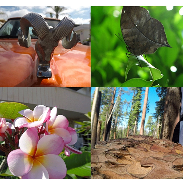 For GoPro HERO5 Sport Action Camera Proffesional 52mm 10X Macro Lens Close-up Filter - Lens Filter by PMC TechLife | Online Shopping South Africa | PMC TechLife | Buy Now Pay Later Mobicred