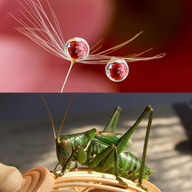 For GoPro HERO5 Sport Action Camera Proffesional 52mm 10X Macro Lens Close-up Filter - Lens Filter by PMC TechLife | Online Shopping South Africa | PMC TechLife | Buy Now Pay Later Mobicred