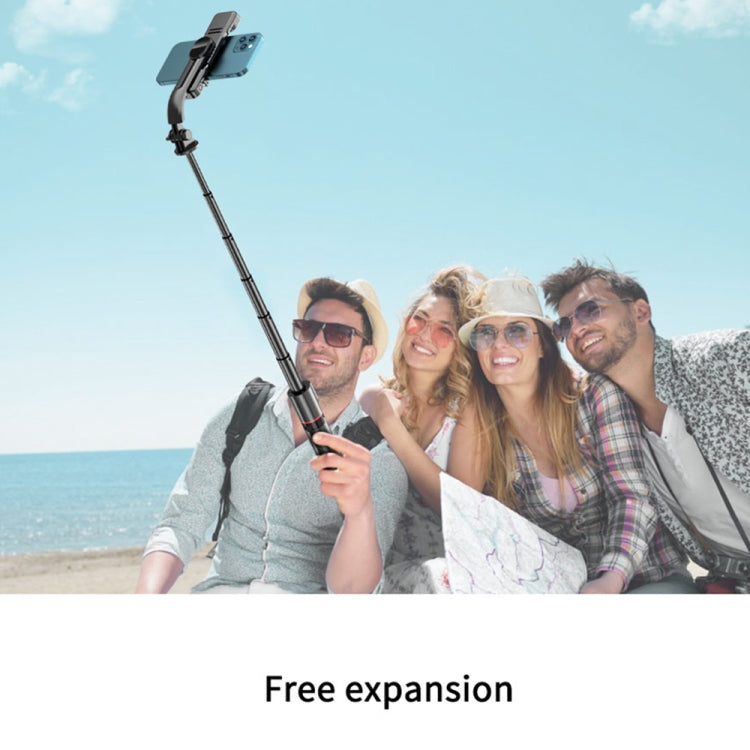 L12D Bluetooth Remote Control Detachable Fill Light Tripod Selfie Stick Phone Holder - Selfie Sticks by PMC Jewellery | Online Shopping South Africa | PMC Jewellery | Buy Now Pay Later Mobicred