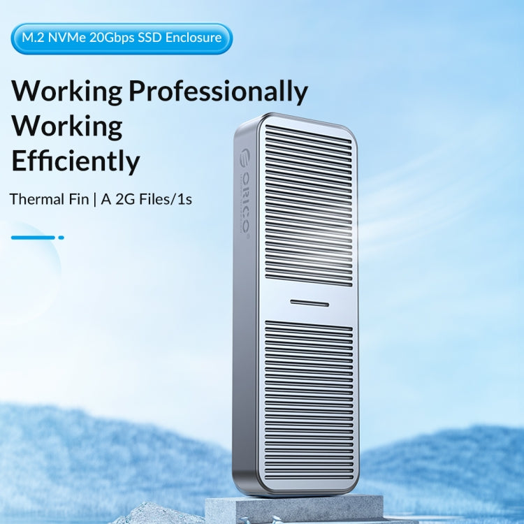 ORICO M224C3-U4-SV M.2 NVME 40Gbps SSD Enclosure(Silver) - HDD Enclosure by ORICO | Online Shopping South Africa | PMC TechLife | Buy Now Pay Later Mobicred