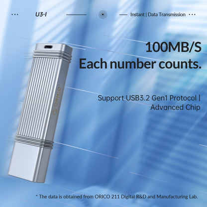 ORICO 256GB Type-C USB3.2 Gen1 USB Flash Drive, Read 260MB/s, Write 50MB/s (Silver) - USB Flash Drives by ORICO | Online Shopping South Africa | PMC Jewellery | Buy Now Pay Later Mobicred