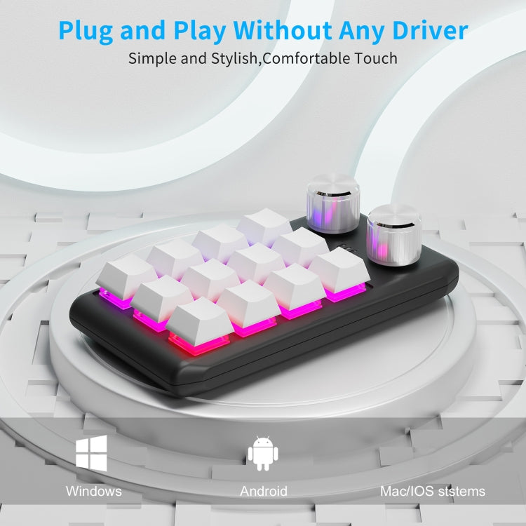 USB Wired 12KV2 MOLD Mini Mechanical 12 Keys 2 Knob Custom Programming Keyboard(White) - Mini Keyboard by PMC Jewellery | Online Shopping South Africa | PMC Jewellery | Buy Now Pay Later Mobicred