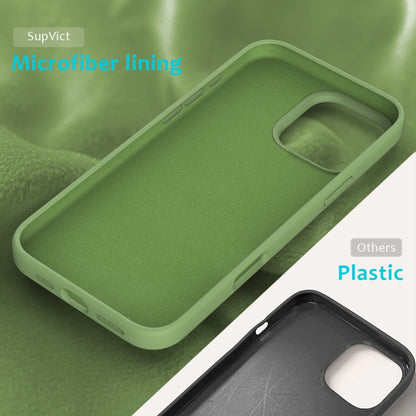 For iPhone 16 Pro Max Solid Color Silicone Phone Case(Mint Green) - More iPhone Cases by PMC Jewellery | Online Shopping South Africa | PMC Jewellery | Buy Now Pay Later Mobicred