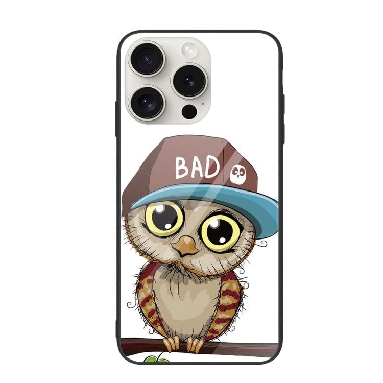 For iPhone 16 Pro Max Colorful Painted Glass Phone Case(Owl) - iPhone 16 Pro Max Cases by PMC Jewellery | Online Shopping South Africa | PMC Jewellery | Buy Now Pay Later Mobicred