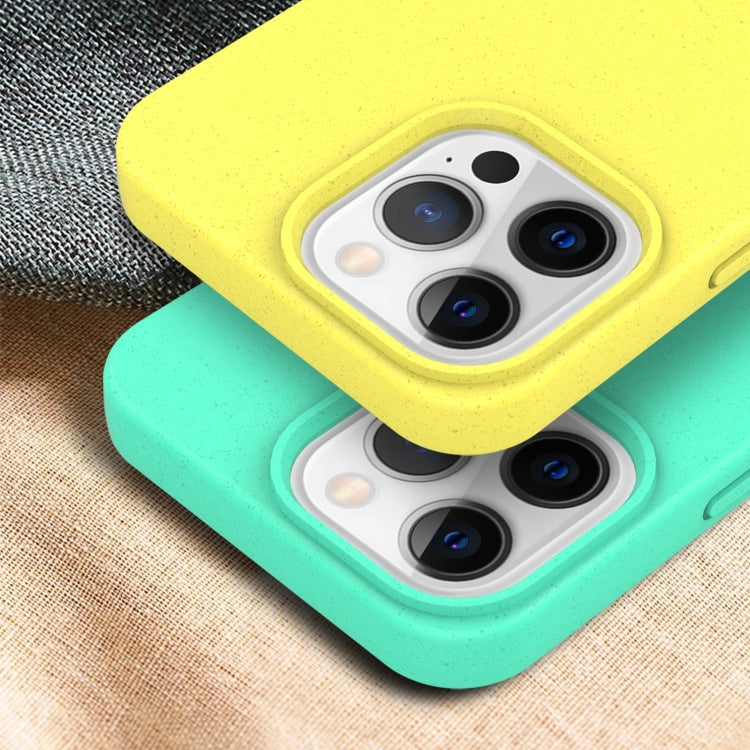 For iPhone 16 Pro Starry Series Shockproof Straw Material + TPU Protective Case(Army Green) - iPhone 16 Pro Cases by PMC TechLife | Online Shopping South Africa | PMC TechLife | Buy Now Pay Later Mobicred