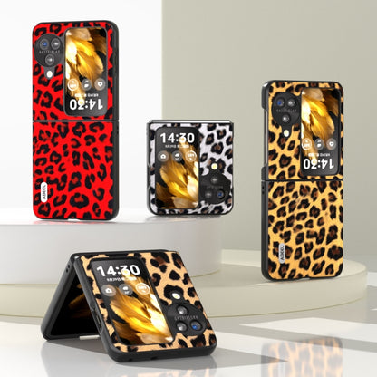 For OPPO Find N3 Flip ABEEL Black Edge Leopard Phone Case(Leopard Print) - Find N3 Flip Cases by PMC Jewellery | Online Shopping South Africa | PMC Jewellery | Buy Now Pay Later Mobicred