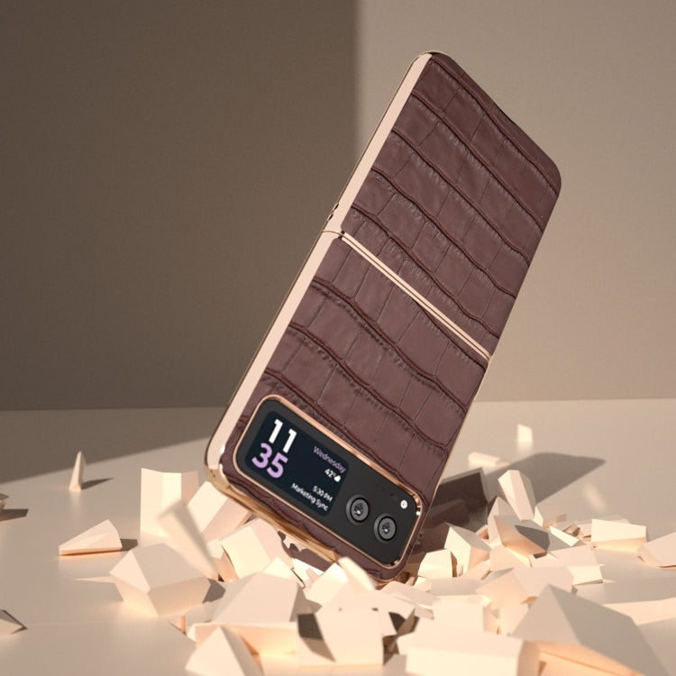 For Motorola Razr 40 Crocodile Texture Genuine Leather Electroplating Phone Case(Brown) - Motorola Cases by PMC TechLife | Online Shopping South Africa | PMC TechLife | Buy Now Pay Later Mobicred