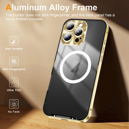 For iPhone 16 Pro Frosted MagSafe Magnetic Metal Phone Case(Gold) - iPhone 16 Pro Cases by PMC Jewellery | Online Shopping South Africa | PMC Jewellery | Buy Now Pay Later Mobicred