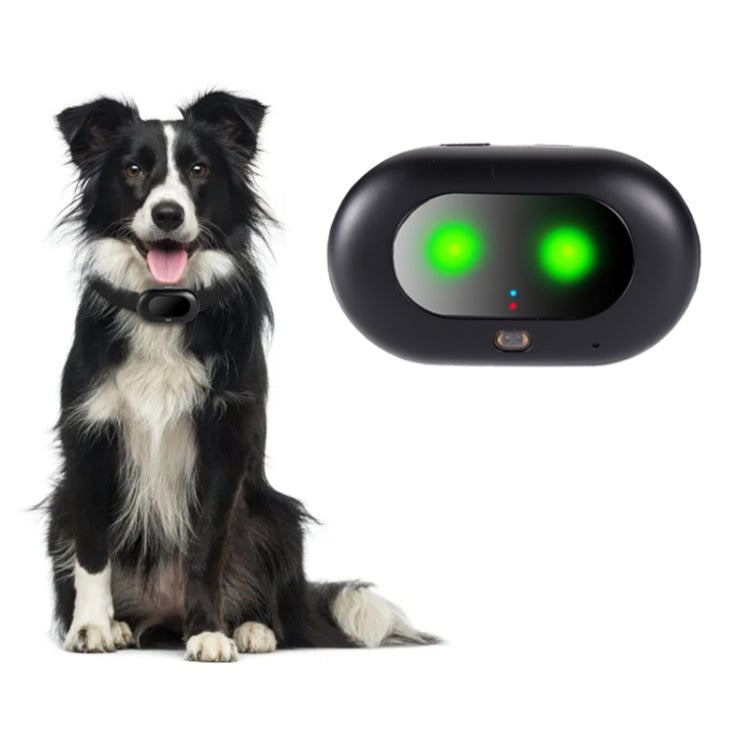 V41 Smart GPS Tracker IP67 Waterproof Pet Anti-loss Positioner, Version:2G Version(Black) - Pet Tracker by PMC TechLife | Online Shopping South Africa | PMC TechLife