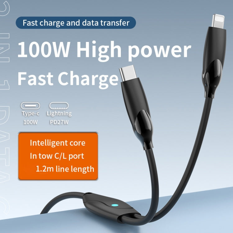 1.2m 100W USB-C / Type-C to USB-C / Type-C + 8 Pin Fast Charging Data Cable(Black) - 2 in 1 Cable by PMC Jewellery | Online Shopping South Africa | PMC Jewellery | Buy Now Pay Later Mobicred