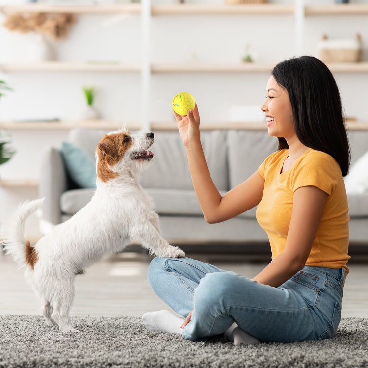 O5 Smart Pet Cat Toy Ball Luminous Yo-Yo Diameter 2.4 inches Standalone Version(Pink) - Rubber Silicone Toys by PMC Jewellery | Online Shopping South Africa | PMC Jewellery