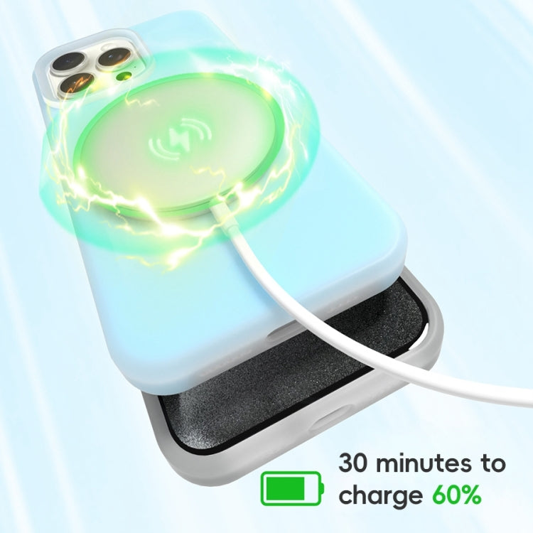 For iPhone 16 Pro Jelly Liquid Silicone MagSafe Magnetic Phone Case(White) - iPhone 16 Pro Cases by PMC TechLife | Online Shopping South Africa | PMC TechLife | Buy Now Pay Later Mobicred