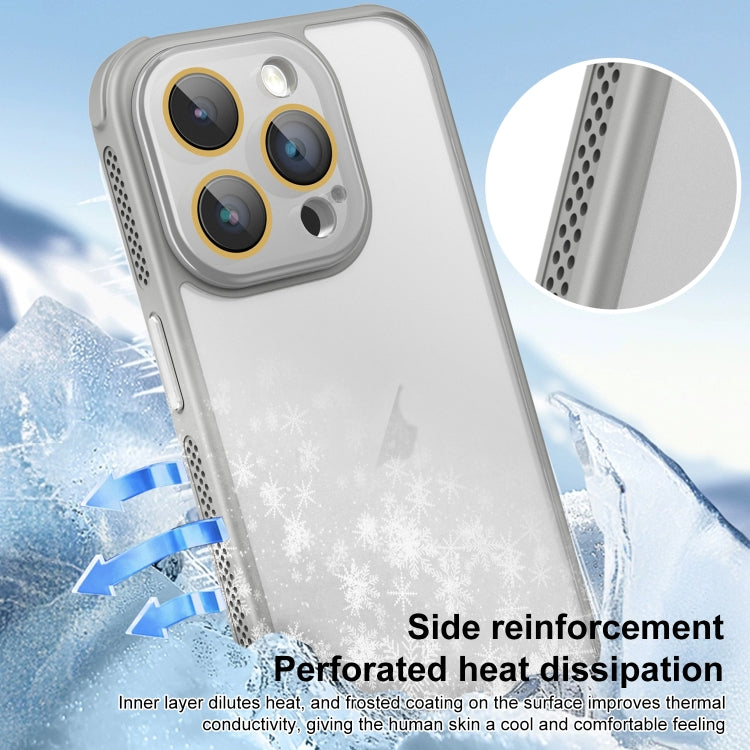 For iPhone 16 Pro Max Side Cooling Skin Feel Frosted Phone Case(Black) - iPhone 16 Pro Max Cases by PMC Jewellery | Online Shopping South Africa | PMC Jewellery | Buy Now Pay Later Mobicred