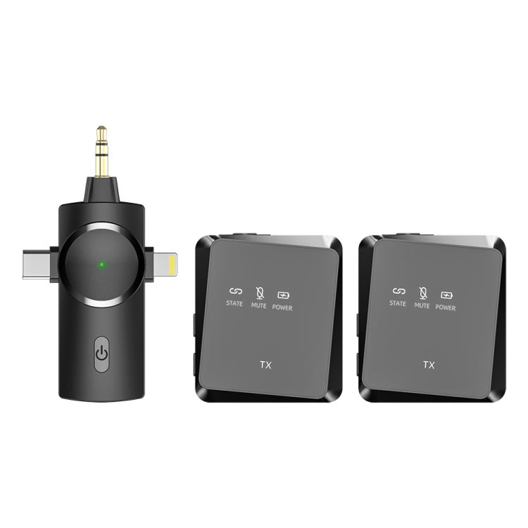 AP009 Wireless One to Two Lavalier Microphone with 3 in 1 Receiver(Black) - Microphone by PMC TechLife | Online Shopping South Africa | PMC TechLife | Buy Now Pay Later Mobicred