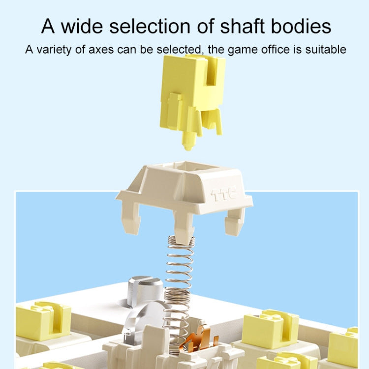 AULA F75 80 Keys Wired/2.4G/Bluetooth Three Model Customized RGB Mechanical Keyboard(Snow Spruce Green) - free shipping - PMC TechLife - Order now!