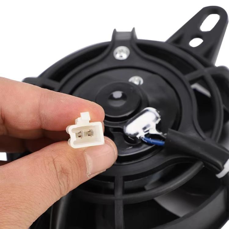 EDA008356201A_2.jpg@b0be5a8a9ed577d2ef1114107621947f