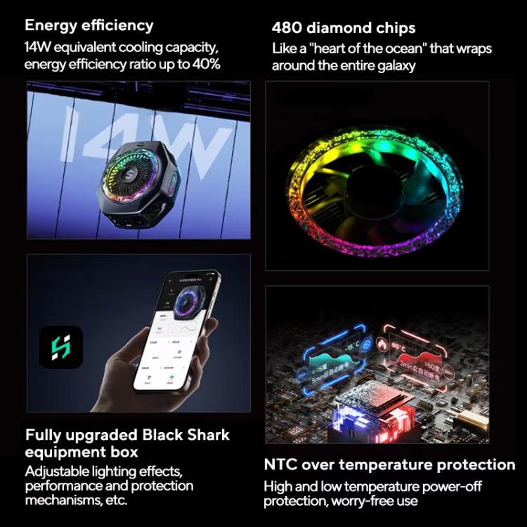 EDA008981201A_4.jpg@2aa1d993658104fe86330128a178a577