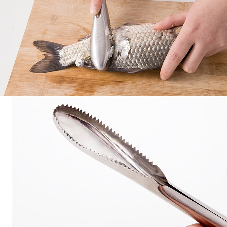 Kitchen Essential Stainless Steel Bidirectional Sawtooth Fish Scraper Fish Scale Planing Knife - Gadgets by PMC Jewellery | Online Shopping South Africa | PMC Jewellery | Buy Now Pay Later Mobicred