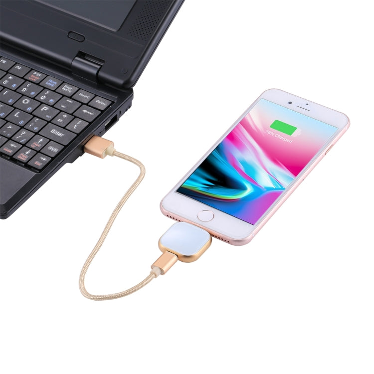 RQW-18S 8 Pin 64GB Multi-functional Flash Disk Drive with USB / Micro USB to Micro USB Cable(Gold) - U Disk & Card Reader by PMC Jewellery | Online Shopping South Africa | PMC Jewellery | Buy Now Pay Later Mobicred