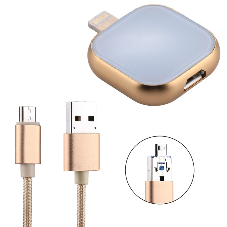 RQW-18S 8 Pin 16GB Multi-functional Flash Disk Drive with USB / Micro USB to Micro USB Cable(Gold) - U Disk & Card Reader by PMC Jewellery | Online Shopping South Africa | PMC Jewellery | Buy Now Pay Later Mobicred