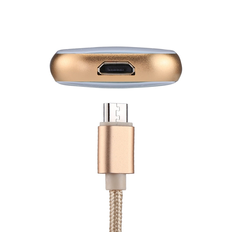 RQW-18S 8 Pin 16GB Multi-functional Flash Disk Drive with USB / Micro USB to Micro USB Cable(Gold) - U Disk & Card Reader by PMC Jewellery | Online Shopping South Africa | PMC Jewellery | Buy Now Pay Later Mobicred