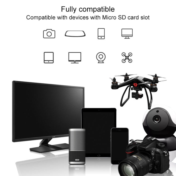 MC5488_7.jpg@dd72970607bfe953a67a99bbbfaa4de6