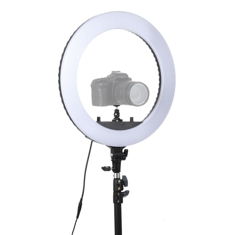 18 inch 55W Two-speed Dimmable Anchor Photography Self-timer LED Ring Fill-in Light with Tripod - Ring Light by PMC Jewellery | Online Shopping South Africa | PMC Jewellery | Buy Now Pay Later Mobicred