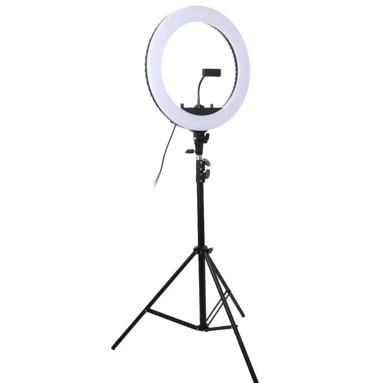 18 inch 55W Two-speed Dimmable Anchor Photography Self-timer LED Ring Fill-in Light with Tripod - Ring Light by PMC Jewellery | Online Shopping South Africa | PMC Jewellery | Buy Now Pay Later Mobicred