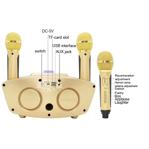 SD-306 2 in 1 Family KTV Portable Wireless Live Dual Microphone + Bluetooth Speaker(Black) - Microphone by PMC Jewellery | Online Shopping South Africa | PMC Jewellery | Buy Now Pay Later Mobicred