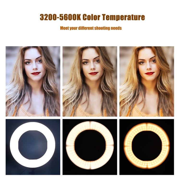 MANTOO RL-18 II 100-240V 55W 18 inch Two-color Dimmable Ring Fill Light with Tripod - Ring Light by MANTOO | Online Shopping South Africa | PMC Jewellery | Buy Now Pay Later Mobicred