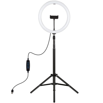 PULUZ 11.8 inch 30cm Light + 1.65m Tripod Mount Curved Surface USB 3 Modes Dimmable Dual Color Temperature LED Ring Vlogging Video Light Live Broadcast Kits with Phone Clamp(Black) - Ring Light by PULUZ | Online Shopping South Africa | PMC Jewellery | Buy Now Pay Later Mobicred