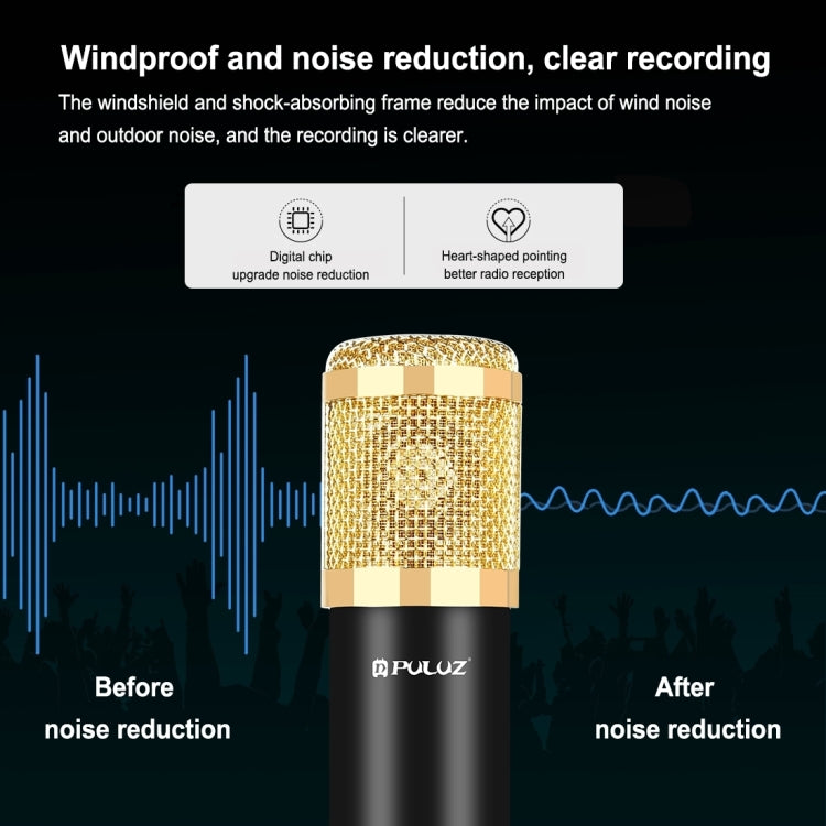 PULUZ Condenser Microphone Studio Broadcast Professional Singing Microphone (Gold) - Microphone by PULUZ | Online Shopping South Africa | PMC Jewellery | Buy Now Pay Later Mobicred