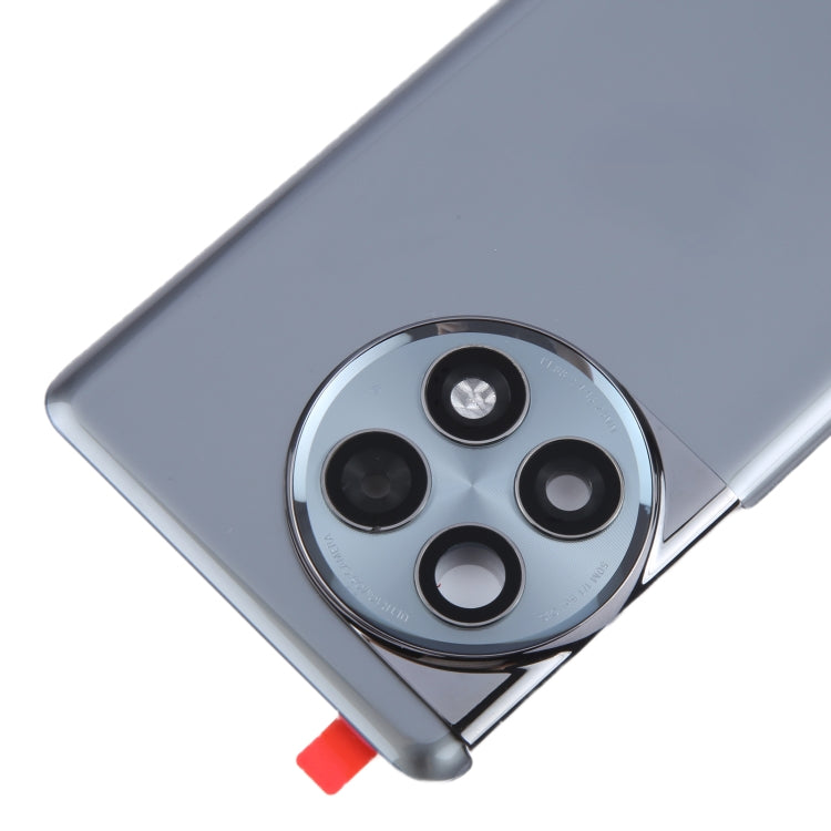 For OnePlus Ace 2 Pro PJA110 Original Glass Battery Back Cover with Camera Lens(Grey) - Back Cover by PMC Jewellery | Online Shopping South Africa | PMC Jewellery | Buy Now Pay Later Mobicred