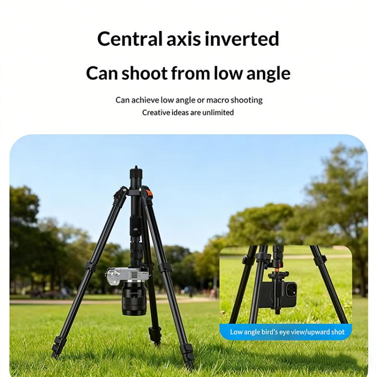 SYA0032152_3.jpg@d1e0536a04fa1fe25e9a498d848441a2