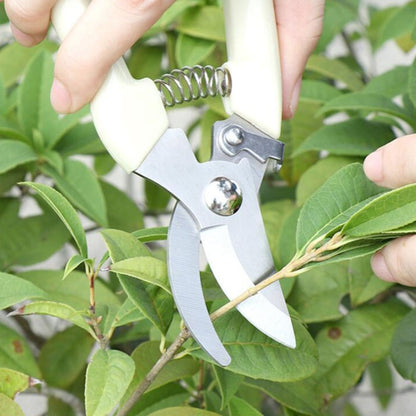 Garden Tools Stainless Steel Pruning Shears Fruit Tree Scissors Garden Branch Shears(Elbow) - Garden Hand Tools by PMC Jewellery | Online Shopping South Africa | PMC Jewellery