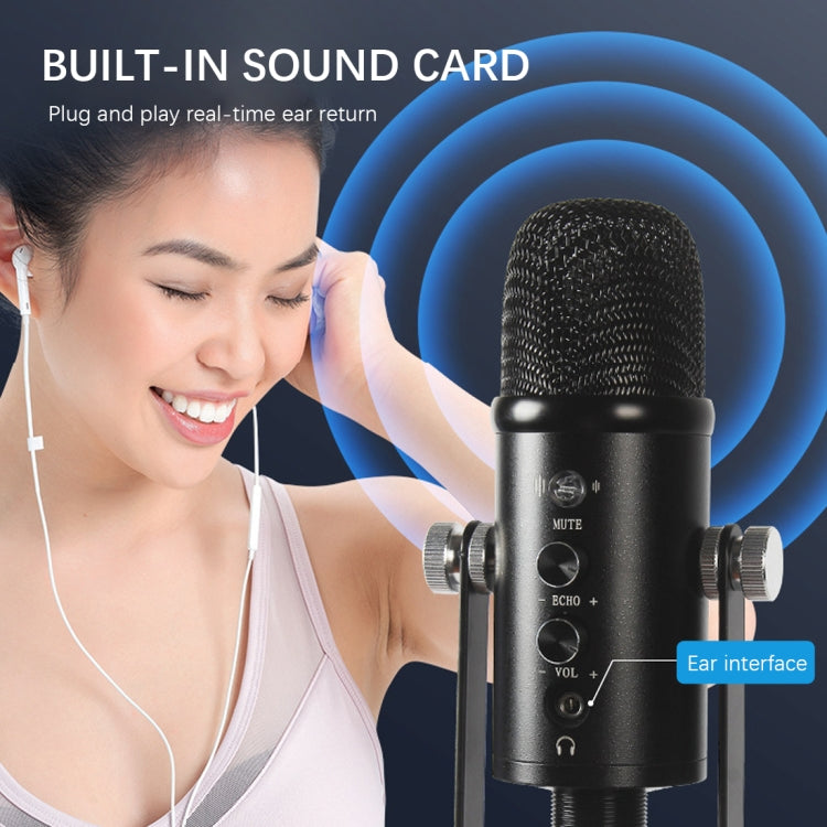 BM-86 USB Condenser Microphone Voice Recording Computer Microphone Live Broadcast Equipment Set, Specification: Cantilever Bracket Set - Microphone by PMC Jewellery | Online Shopping South Africa | PMC Jewellery | Buy Now Pay Later Mobicred