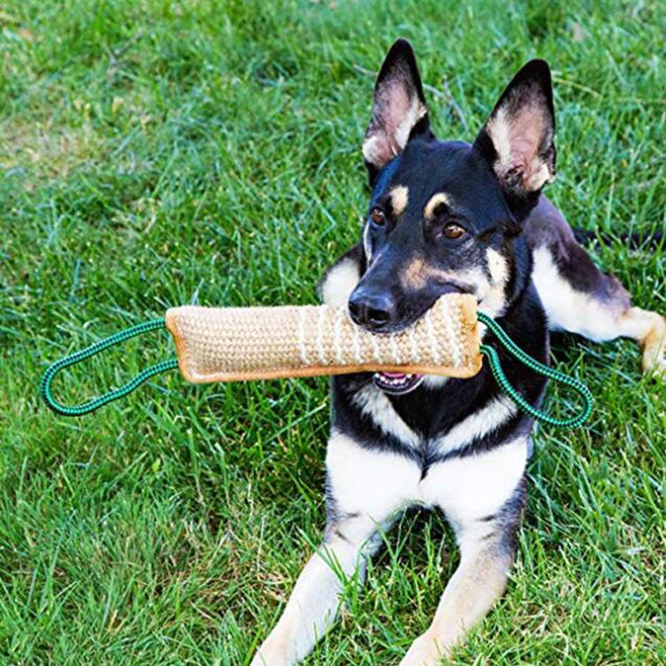 Dog Training Hemp Bite Stick Dog Bite Stick Dog Training Supplies(A1) - Training Aids by PMC Jewellery | Online Shopping South Africa | PMC Jewellery | Buy Now Pay Later Mobicred