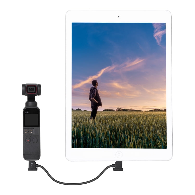 Sunnylife TY-X9304 Suitable For DJI Mavic Air 2S / DJI FPV Flight Glasses V2 / Mavic Mini2 / Osmo Pocket 2 Mobile Phone Tablet Cable 30cm Type-C to Type-C Cable - Other Accessories by PMC TechLife | Online Shopping South Africa | PMC TechLife