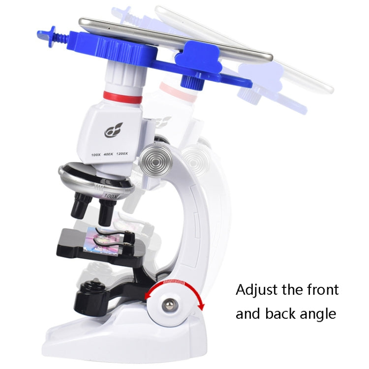 Students Scientific Experimental Equipment Biological Microscope, Style: C2156 With Phone Holder - Digital Microscope by PMC Jewellery | Online Shopping South Africa | PMC Jewellery | Buy Now Pay Later Mobicred