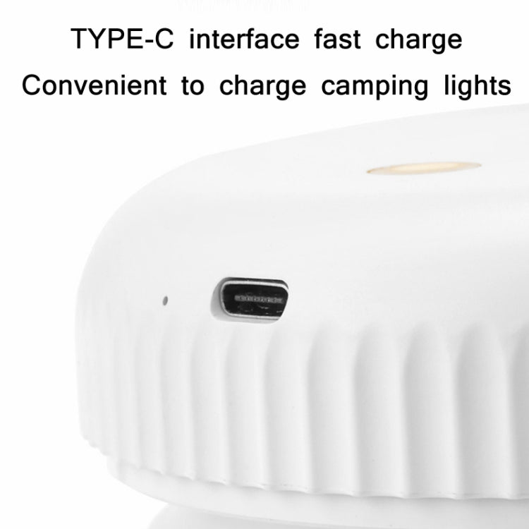 TBD0601750501_B2.jpg@d6fb534c3a0c7c83265daac374586472