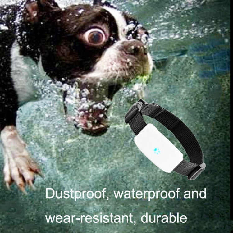 TK911 2G Pet Waterproof GPS Tracker - Pet Tracker by PMC TechLife | Online Shopping South Africa | PMC TechLife | Buy Now Pay Later Mobicred