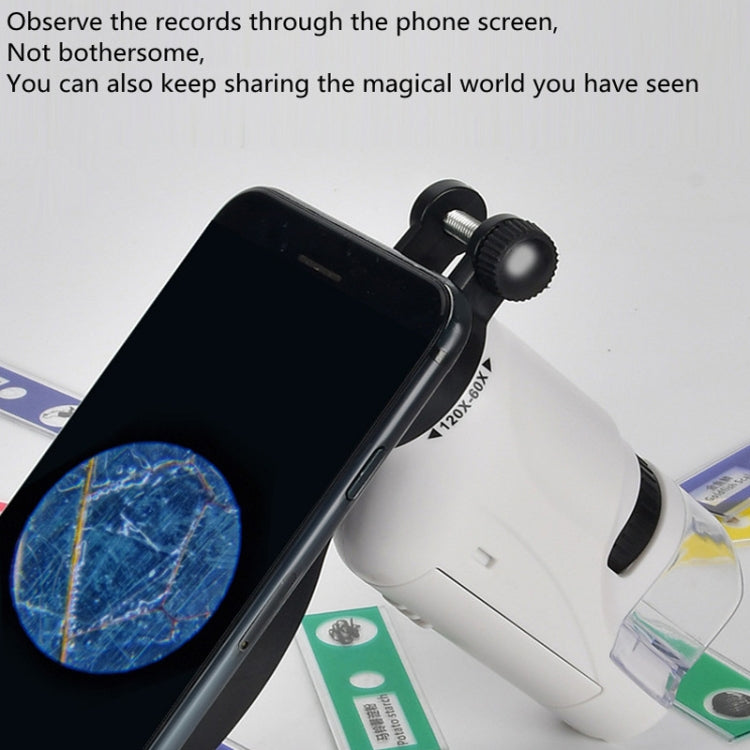 Children Handheld Portable Laboratory Equipment Microscope Toys, Colour: Lite + Specimen (Blue) - free shipping - PMC TechLife - Order now!