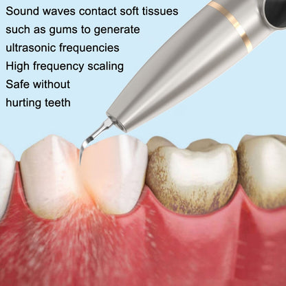 Tartar and Calculus Remover Oral Cleaning Ultrasonic Scaler Electric Visual Scaler(White) - Oral Irrigators by PMC Jewellery | Online Shopping South Africa | PMC Jewellery