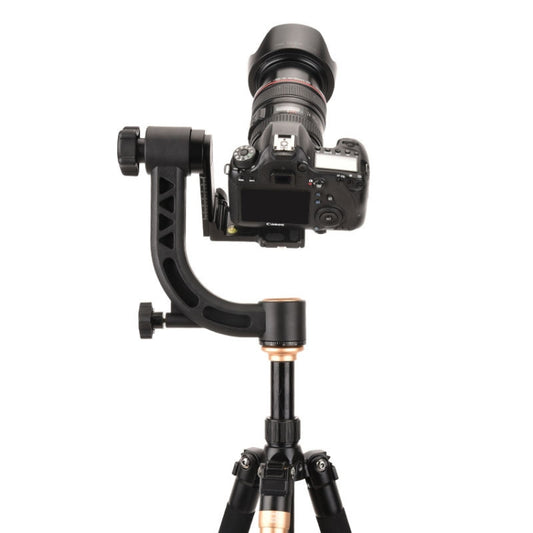 QingZhuangShiDai Q35 SLR Camera Telephoto Lens Bird Watching Tripod Head(Gold) - Tripod Heads by QingZhuangShiDai | Online Shopping South Africa | PMC Jewellery | Buy Now Pay Later Mobicred