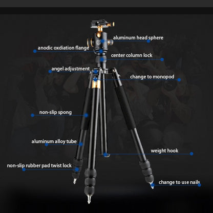 QingZhuangShiDai  Q999B Portable and Stable Photography SLR Digital Camera Tripod(Gold) - Tripods by QingZhuangShiDai | Online Shopping South Africa | PMC Jewellery | Buy Now Pay Later Mobicred