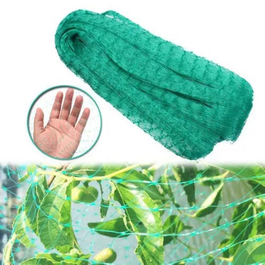 2Mx10M  Anti Bird Protection Net Mesh Garden Plant Netting Protect Plants and Fruit - Garden Netting by PMC Jewellery | Online Shopping South Africa | PMC Jewellery | Buy Now Pay Later Mobicred