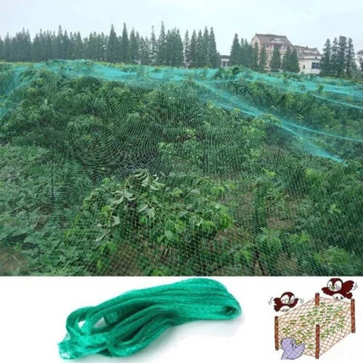 2Mx10M  Anti Bird Protection Net Mesh Garden Plant Netting Protect Plants and Fruit - Garden Netting by PMC Jewellery | Online Shopping South Africa | PMC Jewellery | Buy Now Pay Later Mobicred